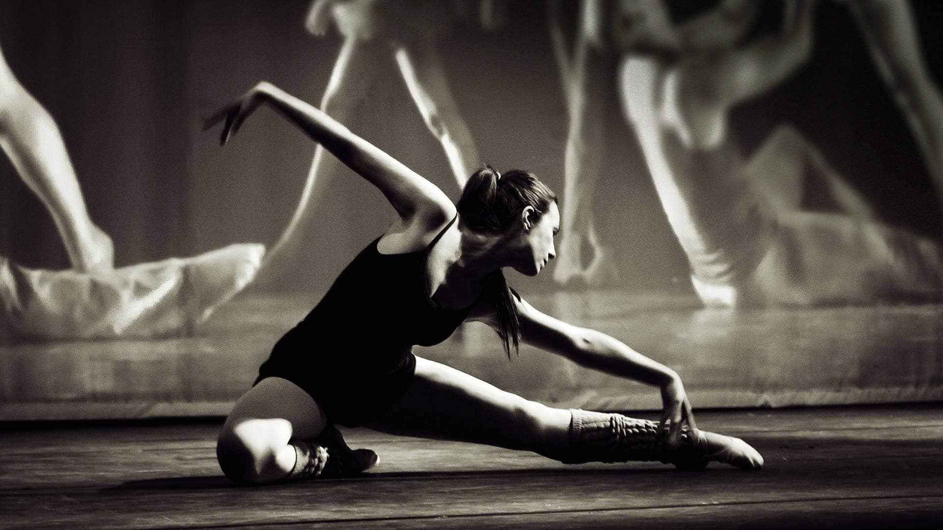 Máster Universitario en Estudios sobre Danza