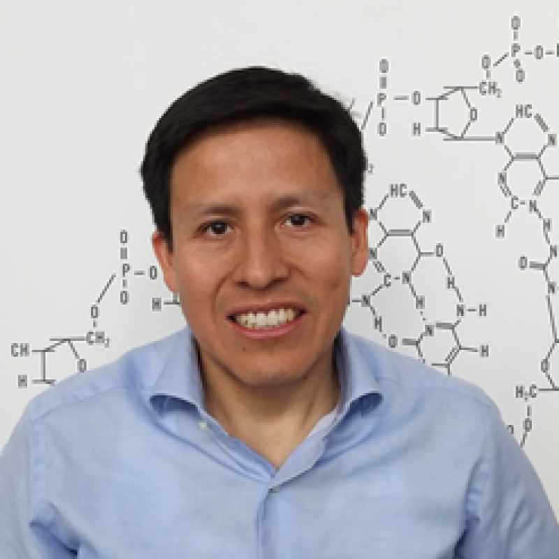 Alberto Dávalos Herrera, Experto asociado