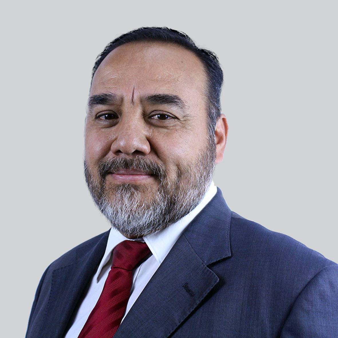 Alberto Herrera Ordóñez, Experto Asociado