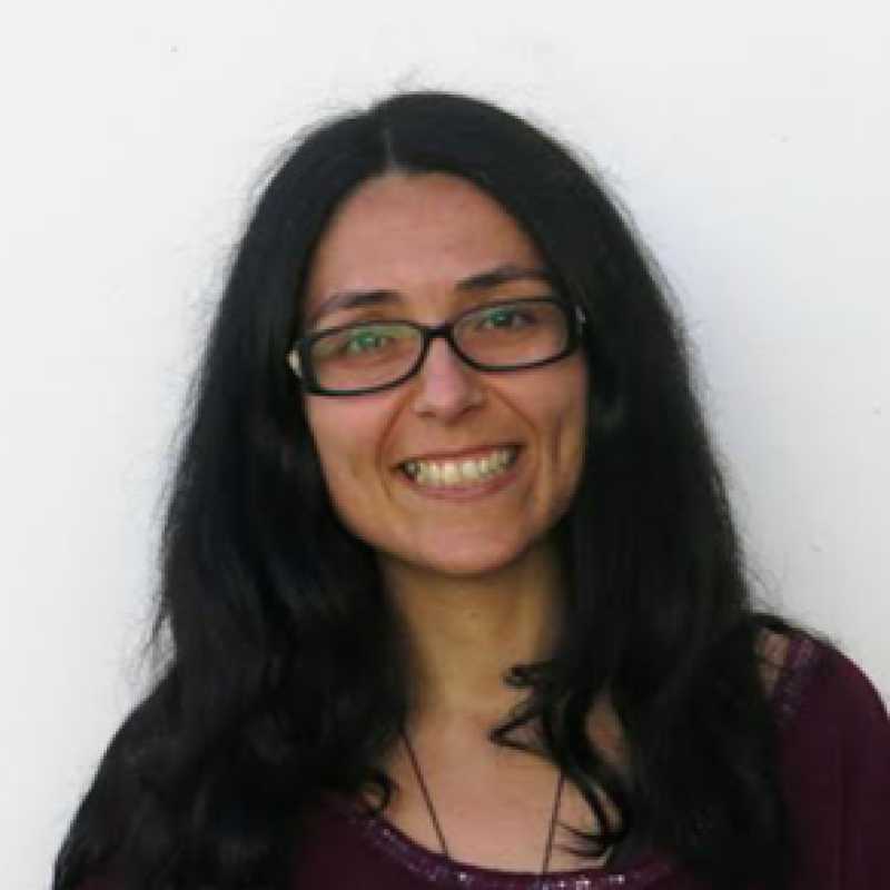 Alessia Fattorini, Docente UNIR