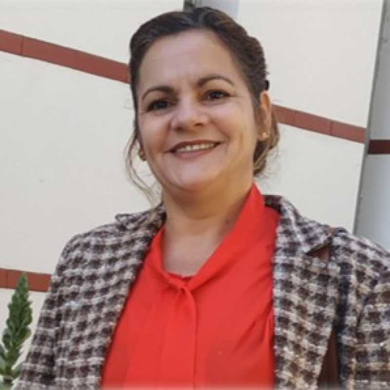 Arasay Padrón Álvarez, Docente UNIR