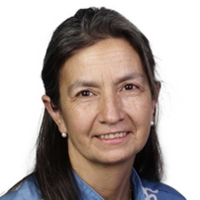 Carmen T. Francisco Mora, Docente UNIR