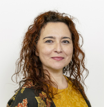 Clara Colinas Marcos, Directora académica