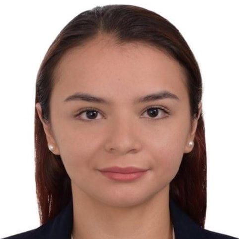 Diana Catalina Gutiérrez Medina, Docente UNIR