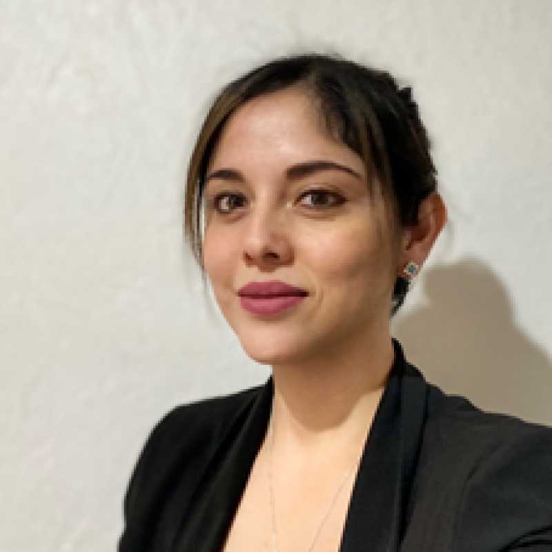 Dulce Maria Rogel Espinoza, Docente UNIR