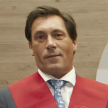 Fernando Bretón Lesmes, Docente UNIR