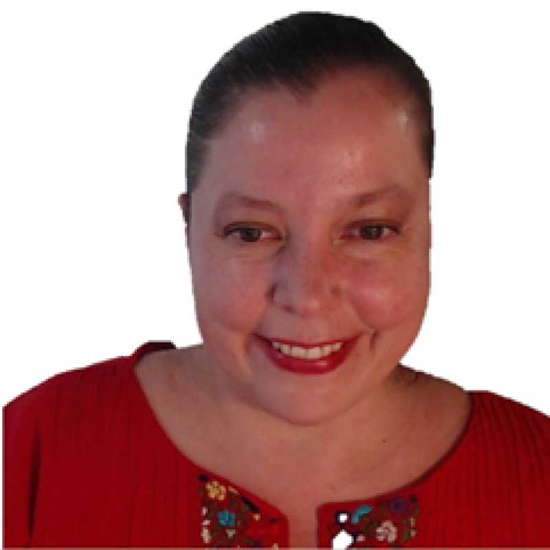 Gabriela De la Torre García, Prestadora de Servicios Profesionales