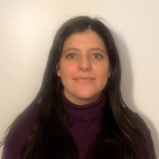 Helena Sandoval Insausti, Experta asociada