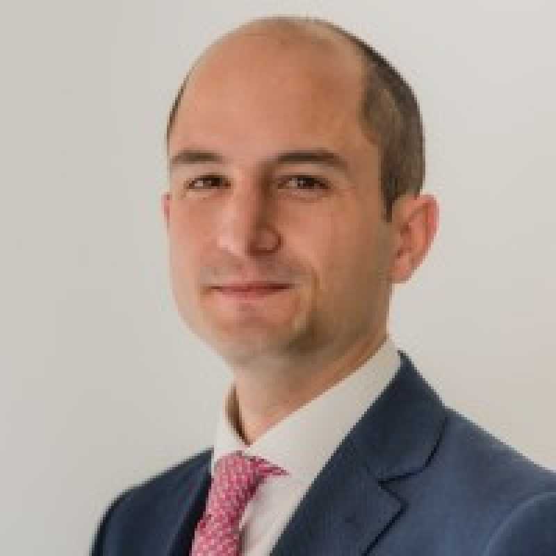 Jacobo Pérez-Bustamante Queipo de Llano, Experto asociado