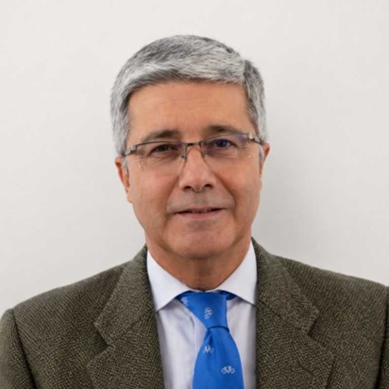 José Antonio Díez Fernández, Docente UNIR