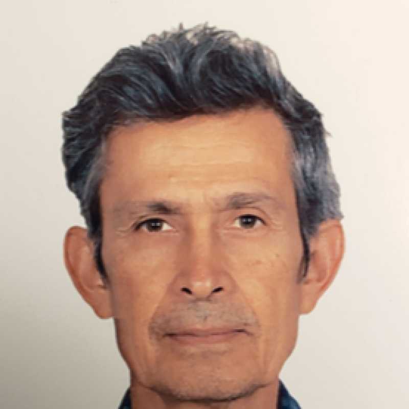 Juan Humberto Sossa Azuela, Prestador de Servicios Profesionales