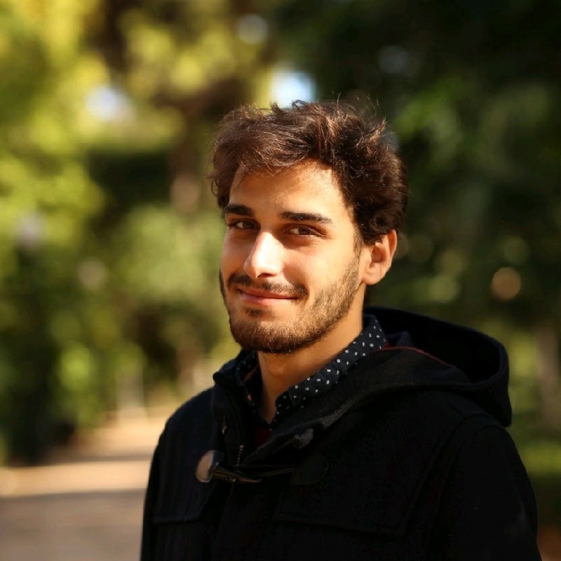 Juan Vicent Camisón, Docente UNIR