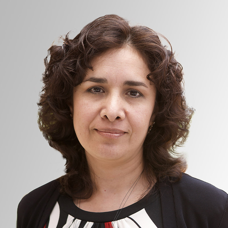 Luz María Rangel Alanís, Docente UNIR