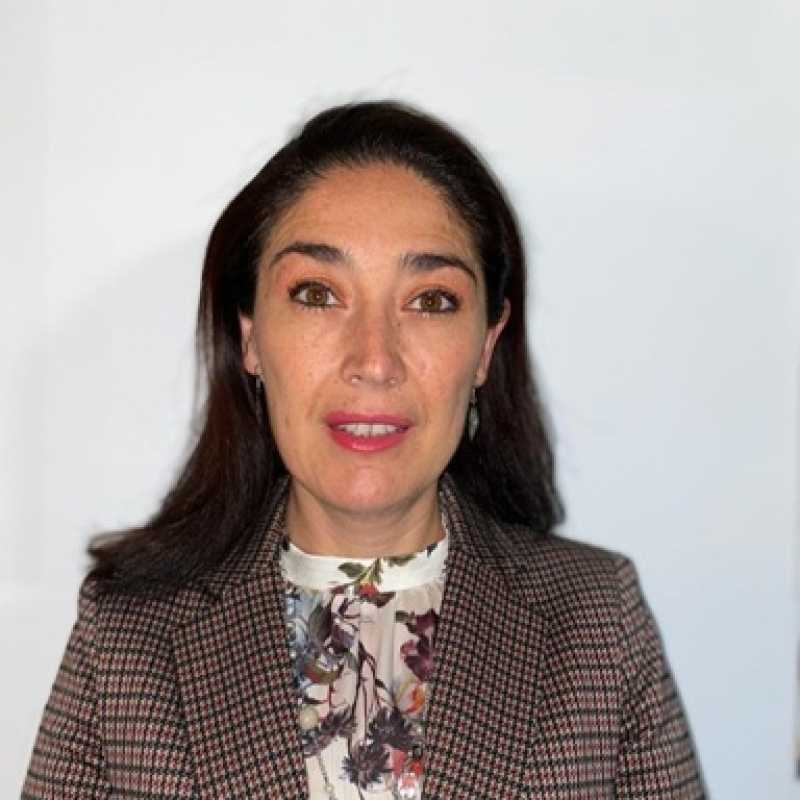 Magda Graciela Briones Trillo, Docente UNIR