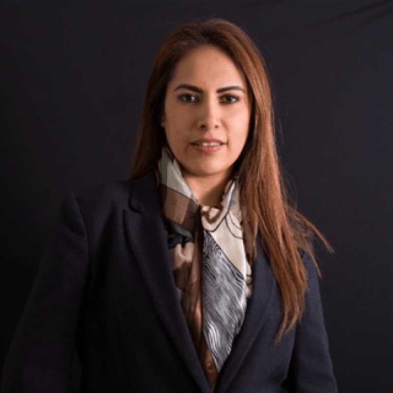 María Esperanza Vázquez Neri, Coordinadora académica