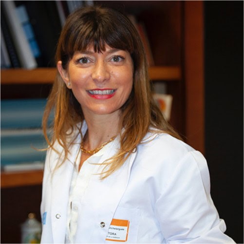 María Fabón Anchelergues, Docente UNIR