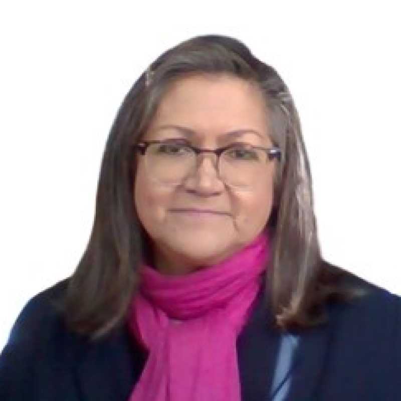 María Guadalupe Juárez Cabañas, Docente UNIR
