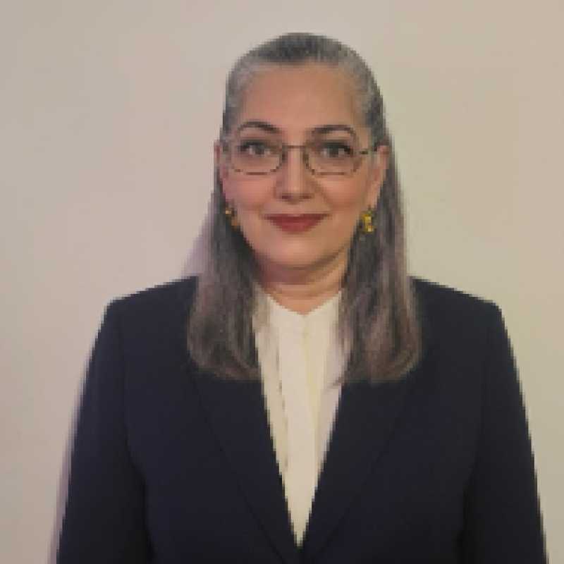 María Teresa Ojeda Escoto, Docente UNIR