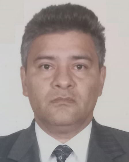 Mario Alberto Bermejo Guevara, Docente UNIR