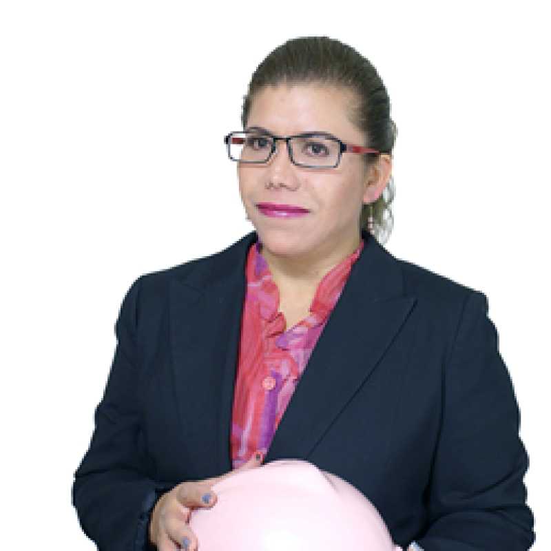 Mónica Amador Rodríguez, Prestadora de Servicios Profesionales