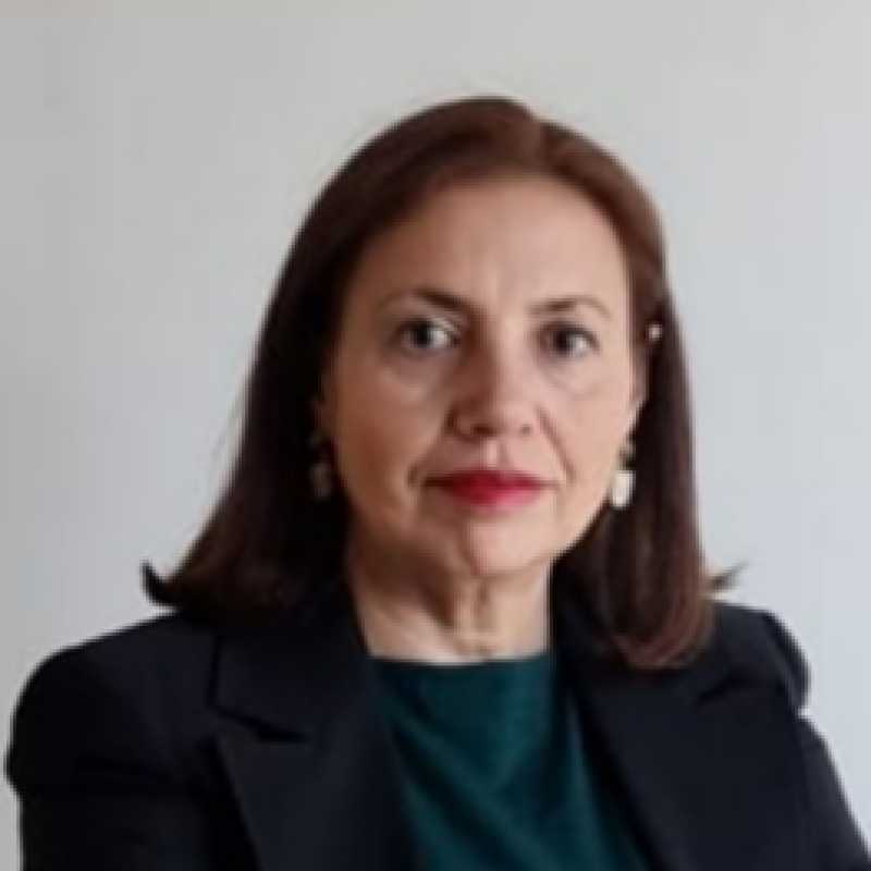 Norma Galindo Espinosa, Coordinadora académica