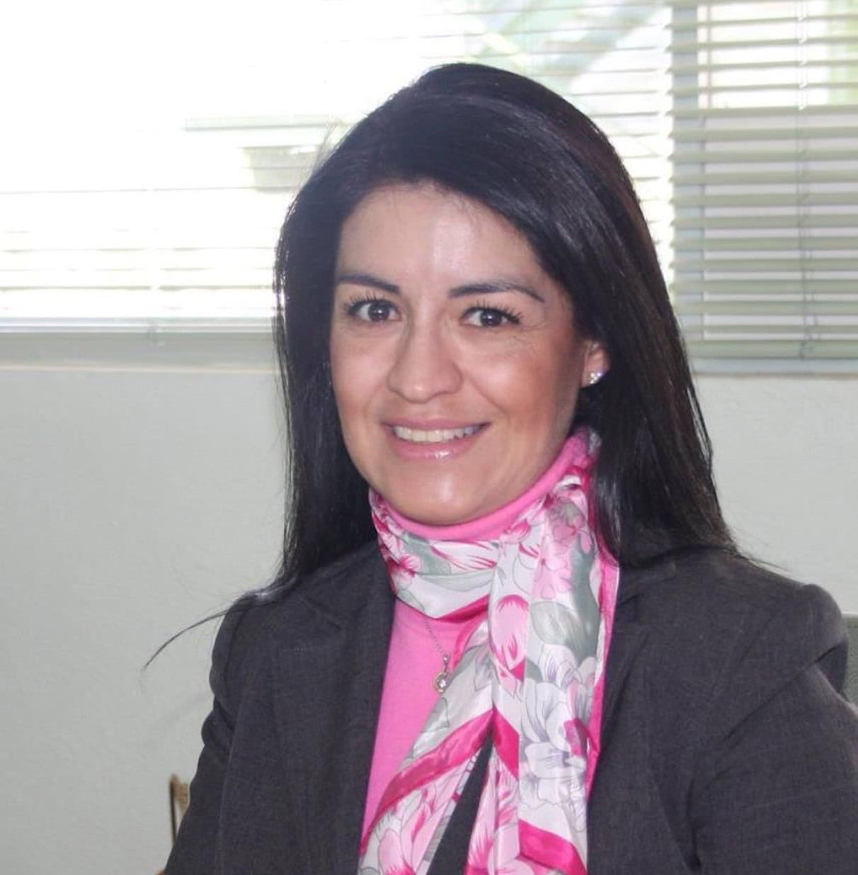 Patricia Vilchis Esquivel, Docente UNIR