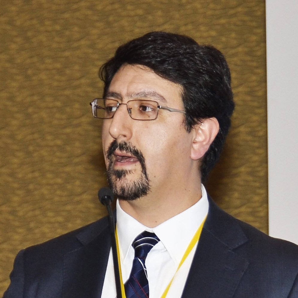 Rodrigo Poblete Umanzor, Experto asociado