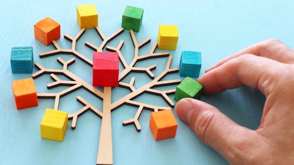 Sistema Integral de Gesti&oacute;n