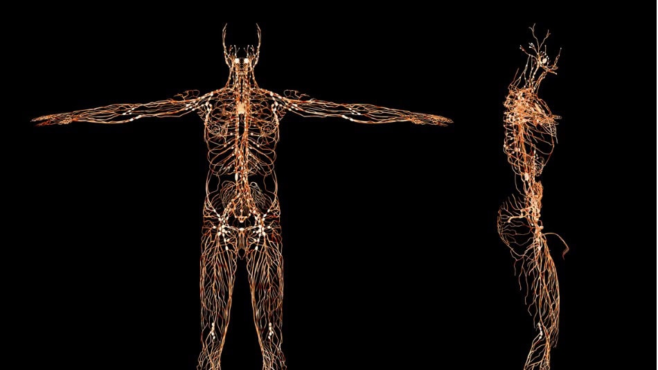 cuanto-gana-neuropsicologo