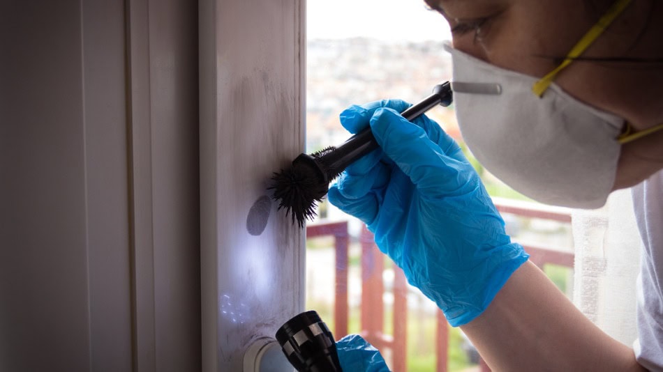 que-es-criminalistica